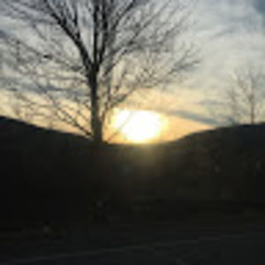 Meet your Posher, Nallijah